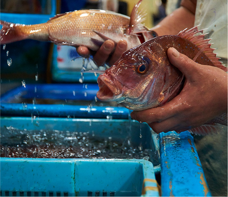 活魚